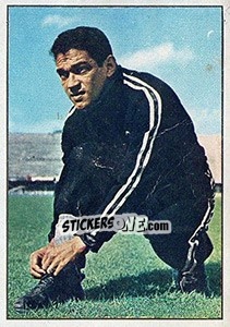 Figurina Garrincha - Calciatori 1965-1966 - Panini