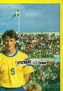 Sticker Equipe (puzzle 4) - Euro 1992 n. 9 - Manil