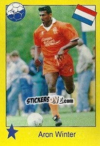 Sticker Aron Winter - Euro 1992 n. 217 - Manil