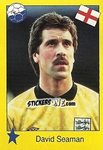 Sticker David Seaman - Euro 1992 n. 228 - Manil
