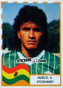 Cromo Marco A. Etchevarry - Copa América 1995 - Navarrete
