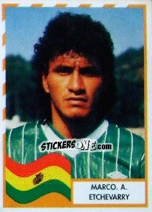 Sticker Marco A. Etchevarry - Copa América 1995 n. 37 - Navarrete