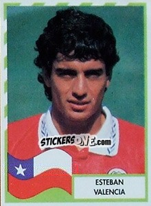 Sticker Esteban Valencia - Copa América 1995 - Navarrete