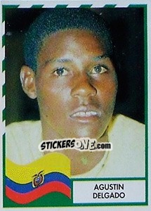 Sticker Agustino Delgado - Copa América 1995 n. 118 - Navarrete