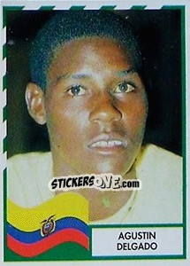 Sticker Agustino Delgado - Copa América 1995 - Navarrete