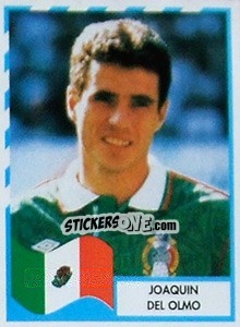 Cromo Joaquin Del Olmo - Copa América 1995 - Navarrete