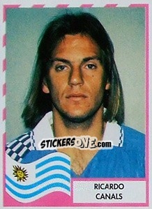 Sticker Ricardo Canals - Copa América 1995 - Navarrete
