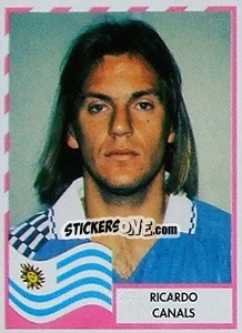 Figurina Ricardo Canals - Copa América 1995 n. 206 - Navarrete
