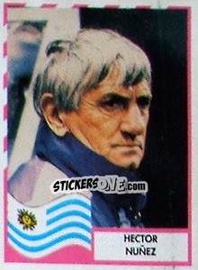 Cromo Hector Nuñez - Copa América 1995 n. 211 - Navarrete