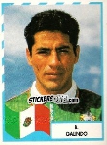 Cromo B. Galindo - Copa América 1995 - Mundicromo