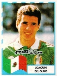 Cromo Joaquin Del Olmo - Copa América 1995 - Mundicromo