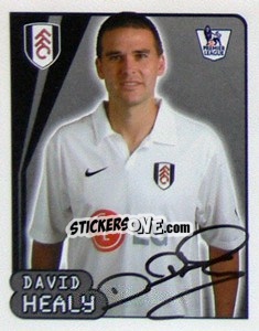 Cromo David Healy - Premier League Inglese 2007-2008 - Merlin