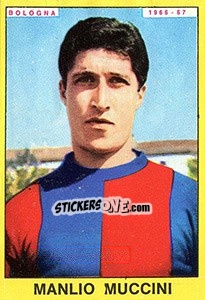 Figurina Manlio Muccini - Calciatori 1966-1967 - Panini