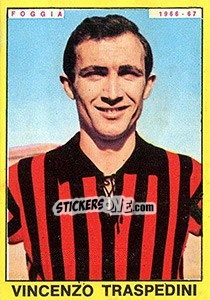 Cromo Vincenzo Traspedini - Calciatori 1966-1967 - Panini