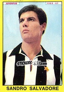 Cromo Sandro Salvadore - Calciatori 1966-1967 - Panini