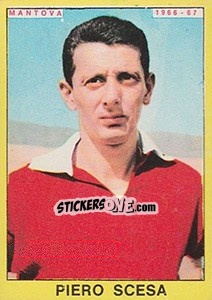 Sticker Piero Scesa - Calciatori 1966-1967 n. 204 - Panini