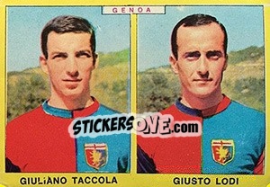 Sticker Taccola / Lodi - Calciatori 1966-1967 - Panini