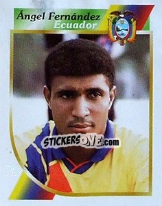 Cromo Ángel Fernández - Copa América 2001 - Navarrete
