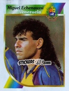 Cromo Miguel Echenaussi - Copa América 2001 - Navarrete