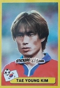 Sticker Tae Young Kim - Mundial Korea Japòn 2002 - Navarrete