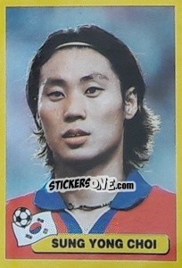 Sticker Sung Yong Choi - Mundial Korea Japòn 2002 - Navarrete