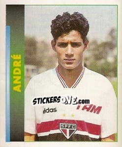 Sticker André - Campeonato Brasileiro 1996 n. 29 - Panini