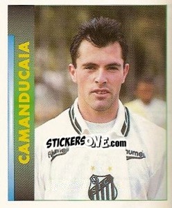 Sticker Camanducaia - Campeonato Brasileiro 1996 - Panini