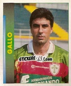 Sticker Gallo - Campeonato Brasileiro 1996 n. 318 - Panini