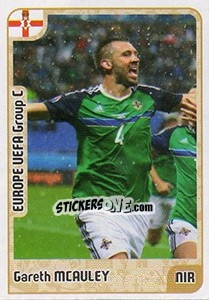 Cromo Gareth McAuley