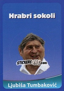 Figurina Slogan / Ljubiša Tumbakovic - FootballFan 2016 - Simulacija