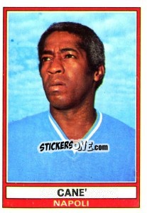 Sticker Cane - Calciatori 1973-1974 n. 241 - Panini