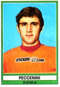 Sticker Peccenini - Calciatori 1973-1974 n. 254 - Panini