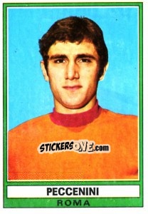 Cromo Peccenini - Calciatori 1973-1974 - Panini