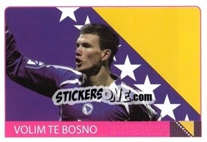 Sticker Volim Te Bosno - World Cup 2010 - Rafo