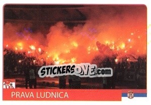 Sticker Prava Ludnica