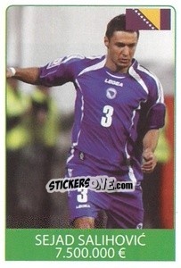 Sticker Sejad Salihovic - World Cup 2010 - Rafo