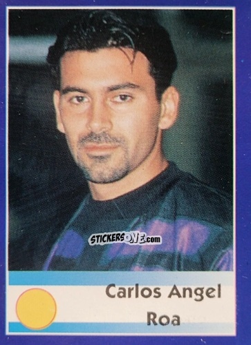Cromo Carlos Angel Roa - Mundial Francia 1998 n. 469 - Navarrete