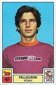 Cromo Pellegrini - Calciatori 1975-1976 n. 254 - Panini