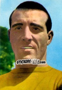 Sticker Ron Springett - Die Weltmeisterschaft 1966 In England - Sicker-Verlag