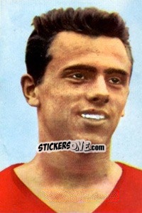 Sticker Kalman Meszöly - Die Weltmeisterschaft 1966 In England - Sicker-Verlag