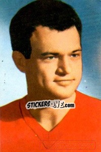 Sticker Dezső Novak - Die Weltmeisterschaft 1966 In England n. 141 - Sicker-Verlag