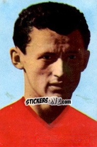 Cromo Florian Albert - Die Weltmeisterschaft 1966 In England - Sicker-Verlag