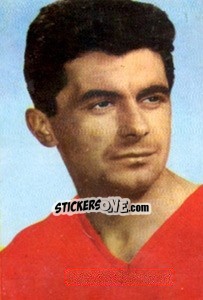 Sticker Mate Fenyvesi - Die Weltmeisterschaft 1966 In England - Sicker-Verlag