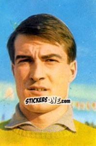 Sticker Enrico Albertosi - Die Weltmeisterschaft 1966 In England n. 182 - Sicker-Verlag