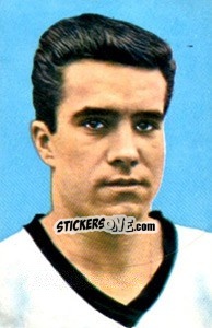 Sticker Bernd Patzke - Die Weltmeisterschaft 1966 In England n. 244 - Sicker-Verlag