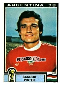 Sticker Sandor Pinter - FIFA World Cup Argentina 1978 - Panini