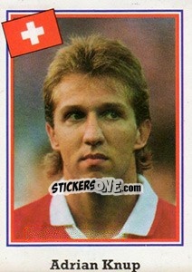 Cromo Adrian Knup - Mundial De Futbol USA 94 n. 41 - Navarrete