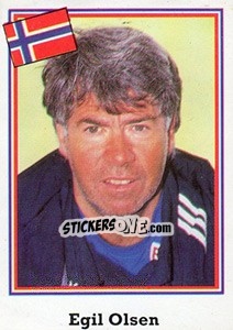 Sticker Egil Olsen - Mundial De Futbol USA 94 n. 323 - Navarrete