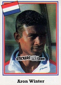 Sticker Aron Winter - Mundial De Futbol USA 94 n. 403 - Navarrete