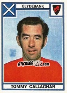 Sticker Tommy Callaghan - UK Football 1977-1978 - Panini